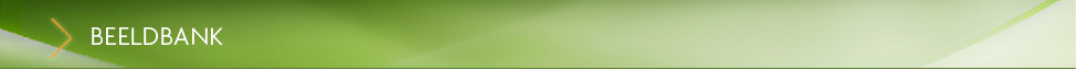 ../BEELDBANK